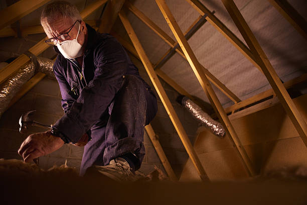 Professional Insulation Contractor in Brent, AL